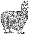 sheep clip art