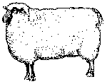 sheep clip art