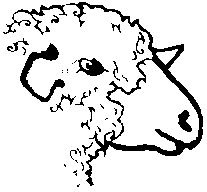 sheep clip art