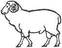 sheep clip art