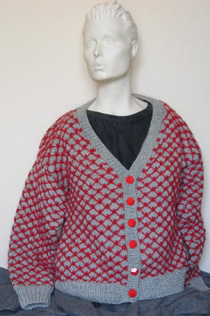 Two Color Cardigan Sweater 